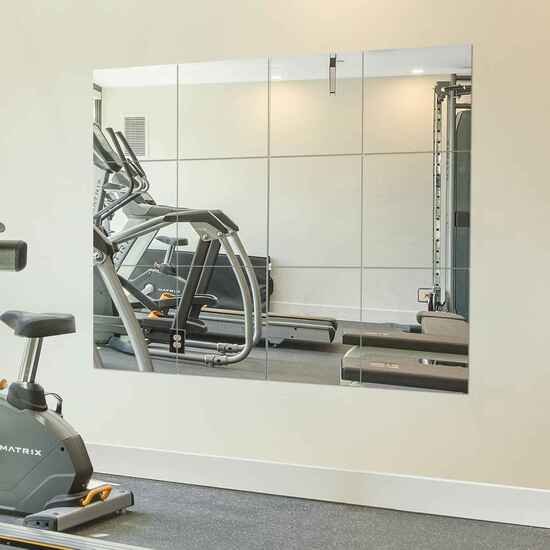 Ruomeng Home Gym Mirrors