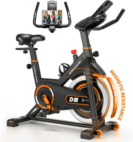 Best exercise bikes under $500: tested and ranked (2026) 2 DMASUN Exercise Bike