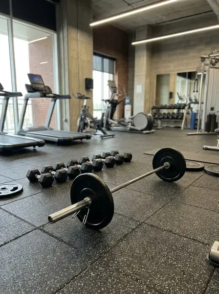 Cardio equipment dumbbells and barbell arranged on gym flooring